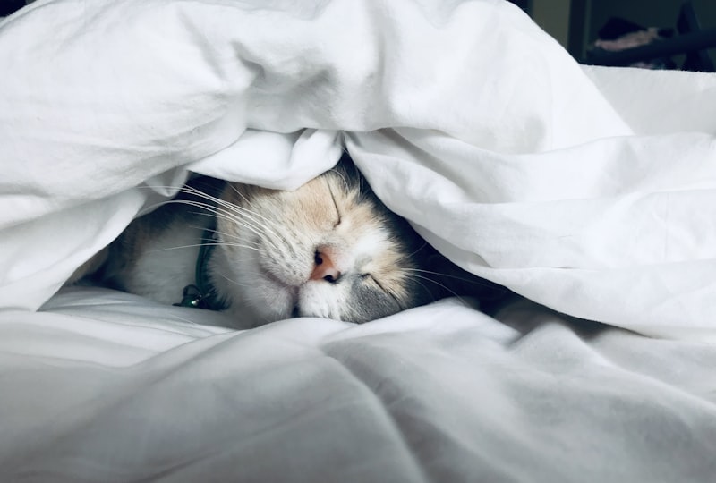 Comfort